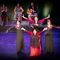 El Rincon Andaluz-129