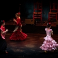 El Rincon Andaluz-63