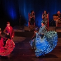 El Rincon Andaluz-75